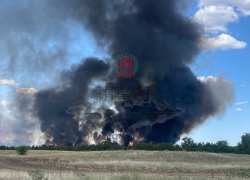 Лесной пожар пытаются потушить под Волгоградом 