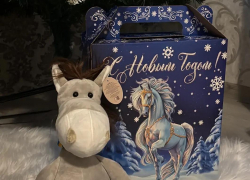 Волшебный Новый Год от ЕвроХим-ВолгаКалия: радость детей и счастливые улыбки взрослых