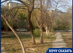 “Даже выборы в Госдуму проходят онлайн”: волжане взбунтовались из-за требований УК с личным посещением 