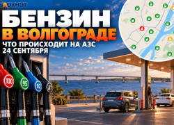 Бензин в Волгограде 24 сентября — что происходит на АЗС и где искать АИ-100