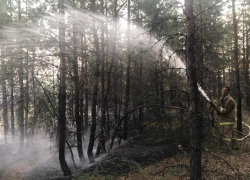 В Волго-Ахтубинской пойме бушует крупный пожар