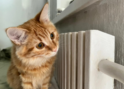 Отопительный сезон начался в Волгоградской области с 1 октября