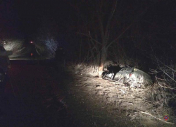 Скользкая дорога и плохая погода: чудом выжил водитель Opel Astra в Волгоградской области 