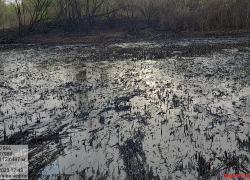 Извержение нефти на 167 млн произошло в Волгоградской области