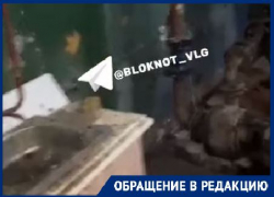 «Все ржавое, просто хлам»: сидящие неделю без воды волгоградцы показали обслуживающую дом теплостанцию 
