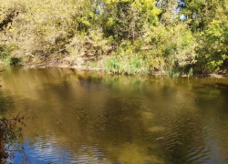 17-летняя девушка без вести пропала в Михайловке: отправилась переплывать озеро