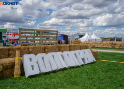 Волгоградская область поставила новый аграрный рекорд