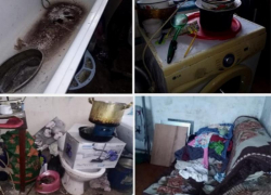 Мать шестерых детей в Волгоградской области лишают родительских прав