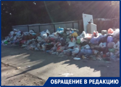 Горы мусора из-за исчезнувших баков появились на юге Волгограда