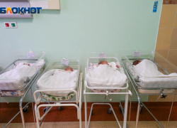 400 малышей появились в 2022 году благодаря ЭКО в Волгоградской области