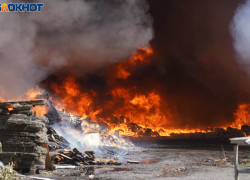 Экстренный сбор из-за пожаров объявили в Волгоградской области 
