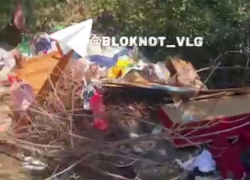 Гигантская свалка с крысиным семейством появилась в Волгограде – видео