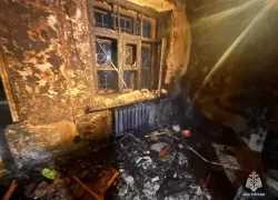 Телевизор едва не убил волгоградку