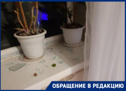 «За попытку и угрозу убийством сосед так и не понес наказания», - волгоградка продолжает опасаться за свою жизнь