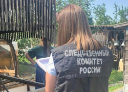 Названа причина смерти семьи из четырех человек под Волгоградом