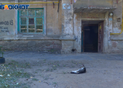 Два волгоградских поселения закрыли на карантин из-за смертельной болезни