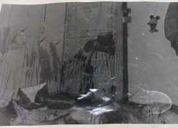 Залитые кровью стены, Микки-Маус и 97-й: как волгоградца убили ворвавшиеся вымогатели