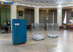 В Волгоградскую областную Думу выдвинулась беспартийная бизнесвумен