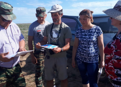 Московская научная экспедиция прибыла в Волгоградскую область изучать морских зуйков