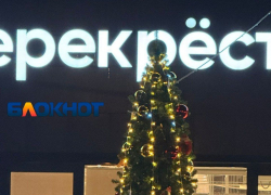 Первую новогоднюю ель установили в Волгограде