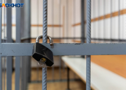 Под Волгоградом женщина три раза подряд перевела деньги мошенникам в надежде заработать