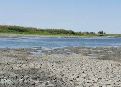 Ситуация катастрофическая: пересохшее озеро в пойме показал волгоградский рыбак 