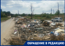 «Раковая опухоль города»: 100-метровую свалку на дороге нашли в Волгограде