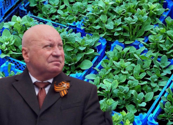 Приказ бывшего мэра Лихачева четвертый год не могут исполнить в Волгограде
