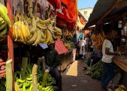 Гигантская рыба на земле и крики: рынок в Африке удивил Покров