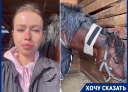 Прокрался со шприцем: неизвестный устроил мучительную расправу над лошадьми в конюшне под Волгоградом