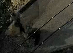 Жестокое избиение молящего о помощи мужчины в Волгограде попало на видео