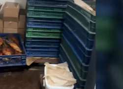 Подпольный цех с копченой и вяленой рыбой накрыли на севере Волгограда — изъято 12 тонн 