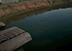 Подросток утонул под Волгоградом на глазах у друзей 