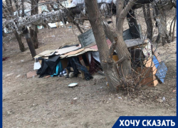 С собачьим самостроем борются жители волгоградского двора