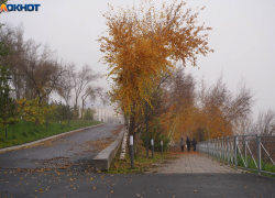 Последнее экстра-потепление переживет Волгоград в декабре