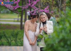 «Миллион на агитацию лучше пробухать»: как проходит праймериз «Единой России» в Волгограде 