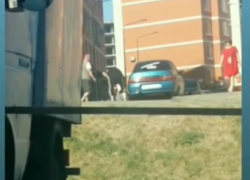 «Фееричное утро маргиналов» в ЖК «Колизей» в Волгограде попало на видео