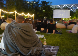 «Мадагаскар и «Дети шпионов»: в Волгограде пройдут бесплатные кинопоказы