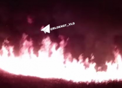 Бушующее на Спартановке в окрестностях Мокрой Мечетки пламя попало на видео 