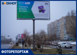 В центре Волгограда безнаказанно вырубили берёзы ради рекламы «Сбера»