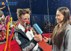 Дрессированную муху и двухметрового робота привез в Волгоград цирк «КАРАКАТ ШОУ»