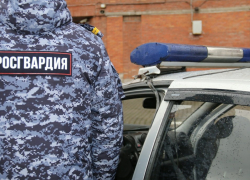Трижды судимый волжанин, в том числе за изнасилование, пытался пробраться в частный дом с топором