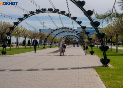 Один отменили и три задержали: волгоградцы снова не могут вылететь в Москву 