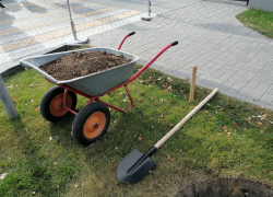 Дерзкие «художества» «Волгоградзеленхоза» почти на 30 миллионов вскрылись в суде