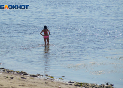 В Волгоградской области выловили упавшую с моста девушку 