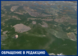 В «Тархунке» массово гибнет рыба: жительница Волгоградской области бьет тревогу