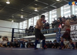 В Волгоградской области определились восемь сильнейших бойцов ММА