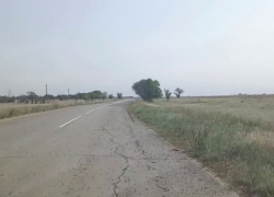 Черные тучи саранчи идут на огороды волгоградцев: видео