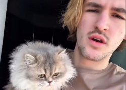 «Моя Булка»: толпу поклонников собрала кошка сына Дубцовой