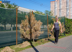 Волгоградцы продолжают страдать от жары: ноль осадков и до +35 градусов